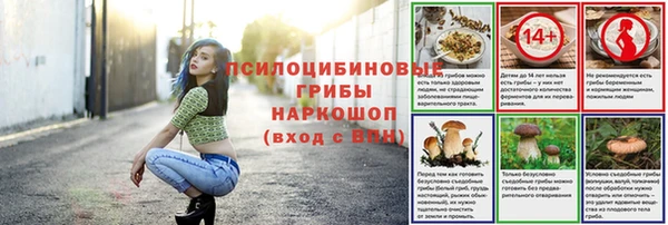 не бодяженный Арсеньев